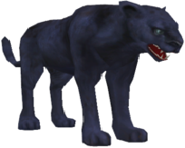 Ягуар — База Знаний Last Chaos