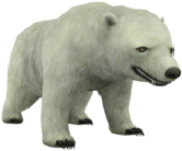 Белый медведь.png